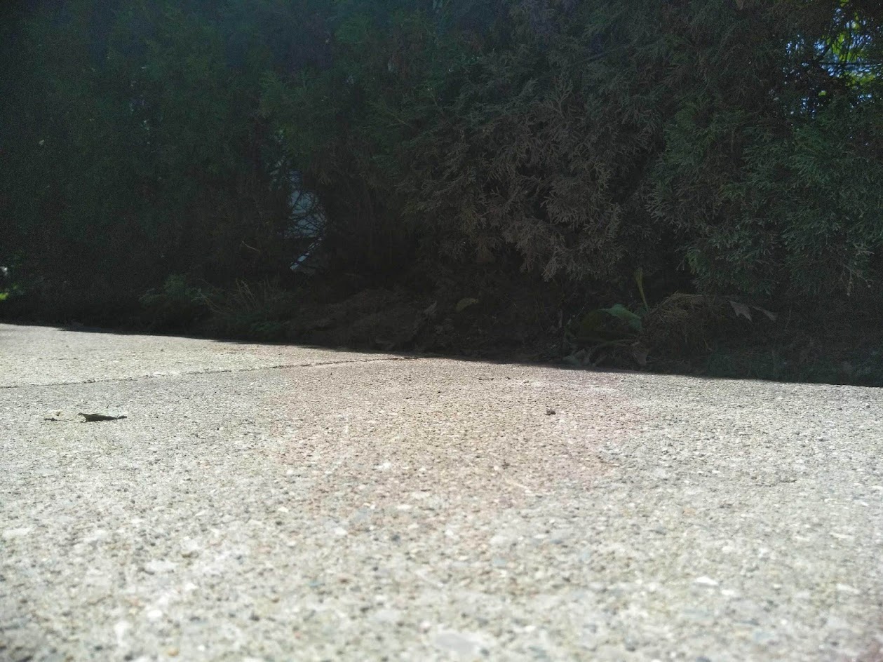 Concrete Repair in Jackson, Michigan Concrete Raising & Leveling